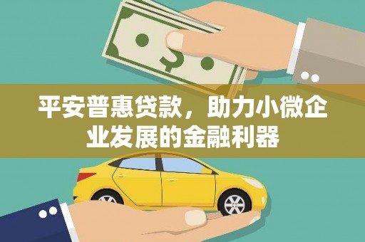 洪雅平安普惠贷款，助力小微企业发展的金融利器