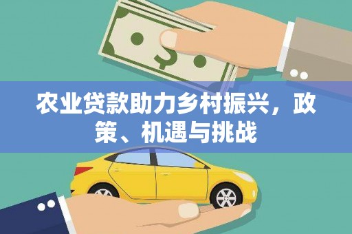洪雅农业贷款助力乡村振兴，政策、机遇与挑战