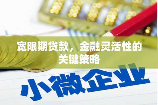 洪雅宽限期贷款，金融灵活性的关键策略