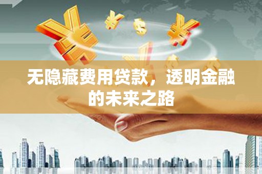 洪雅无隐藏费用贷款，透明金融的未来之路