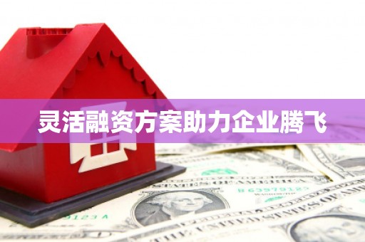 洪雅灵活融资方案助力企业腾飞