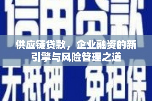 洪雅供应链贷款，企业融资的新引擎与风险管理之道