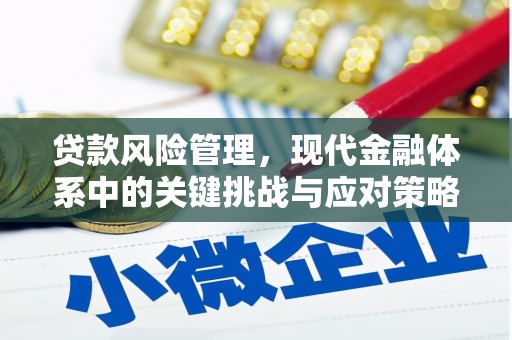 洪雅贷款风险管理，现代金融体系中的关键挑战与应对策略