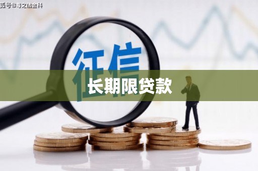 洪雅长期限贷款