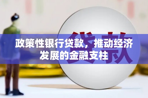 洪雅政策性银行贷款，推动经济发展的金融支柱