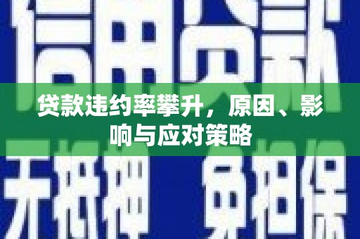 洪雅贷款违约率攀升，原因、影响与应对策略