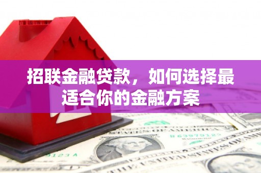 洪雅招联金融贷款，如何选择最适合你的金融方案