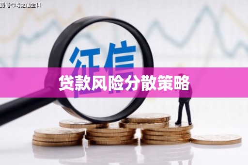 洪雅贷款风险分散策略