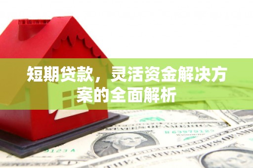 洪雅短期贷款，灵活资金解决方案的全面解析