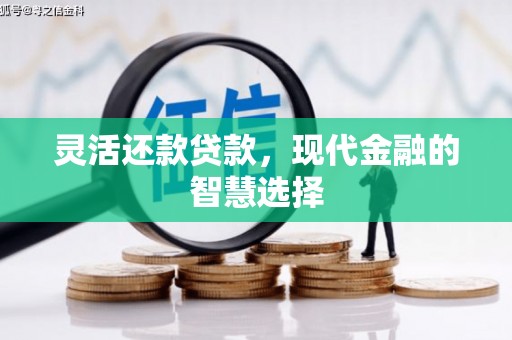 洪雅灵活还款贷款，现代金融的智慧选择