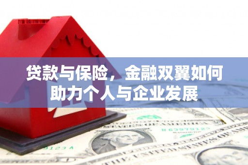 洪雅贷款与保险，金融双翼如何助力个人与企业发展