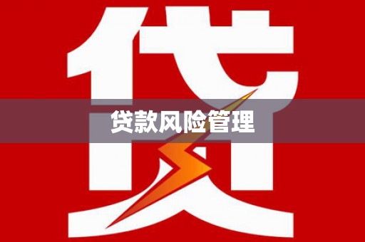 洪雅贷款风险管理