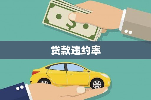 洪雅贷款违约率