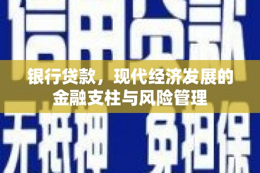 洪雅银行贷款，现代经济发展的金融支柱与风险管理