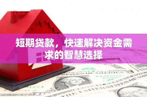 洪雅短期贷款，快速解决资金需求的智慧选择