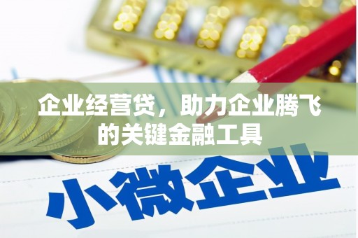 洪雅企业经营贷，助力企业腾飞的关键金融工具