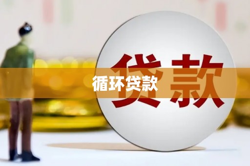 洪雅循环贷款