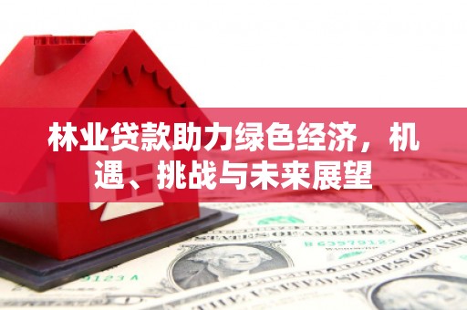 洪雅林业贷款助力绿色经济，机遇、挑战与未来展望