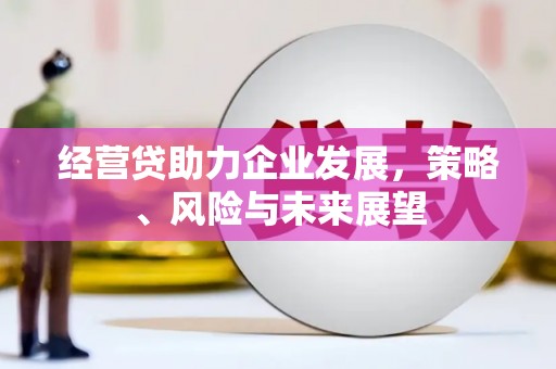 洪雅经营贷助力企业发展，策略、风险与未来展望