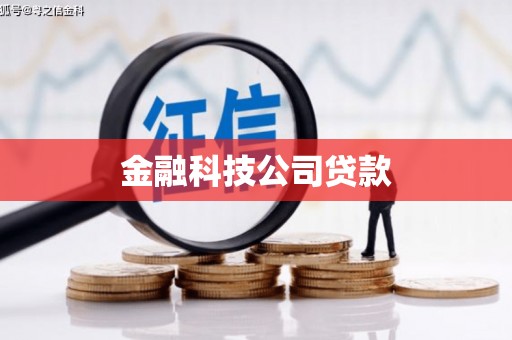 洪雅金融科技公司贷款