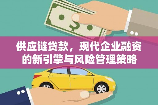 洪雅供应链贷款，现代企业融资的新引擎与风险管理策略