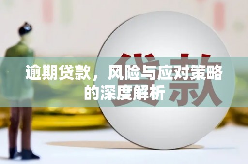 洪雅逾期贷款，风险与应对策略的深度解析