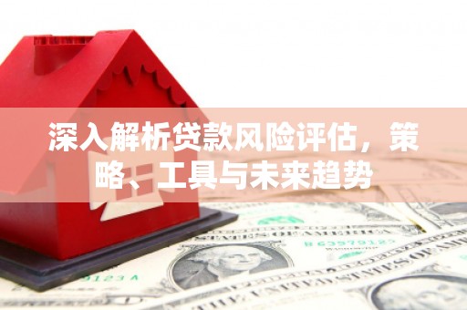 洪雅深入解析贷款风险评估，策略、工具与未来趋势