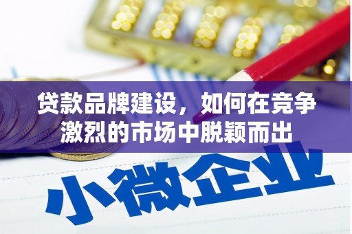 洪雅贷款品牌建设，如何在竞争激烈的市场中脱颖而出