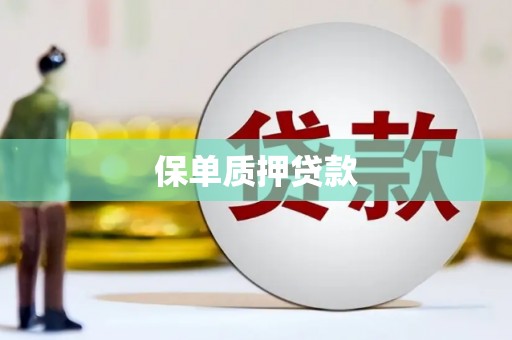 洪雅保单质押贷款