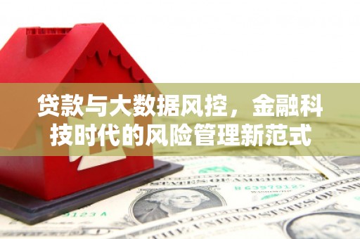 洪雅贷款与大数据风控，金融科技时代的风险管理新范式