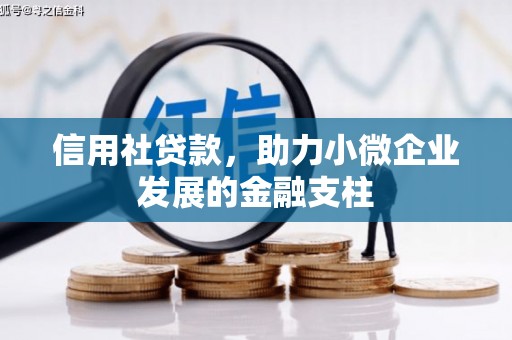 洪雅信用社贷款，助力小微企业发展的金融支柱
