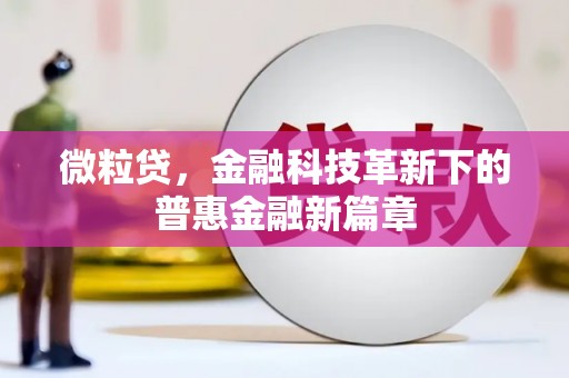 洪雅微粒贷，金融科技革新下的普惠金融新篇章
