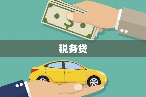 洪雅税务贷