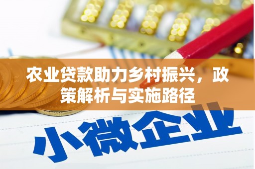 洪雅农业贷款助力乡村振兴，政策解析与实施路径