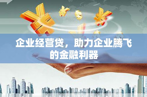 洪雅企业经营贷，助力企业腾飞的金融利器