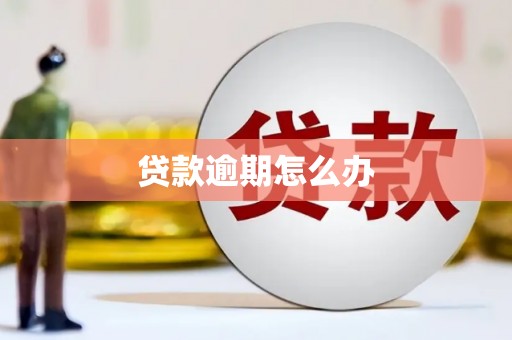 洪雅贷款逾期怎么办