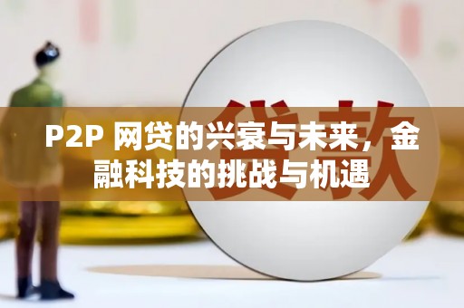 洪雅P2P 网贷的兴衰与未来，金融科技的挑战与机遇