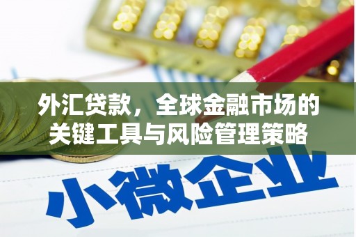 洪雅外汇贷款，全球金融市场的关键工具与风险管理策略