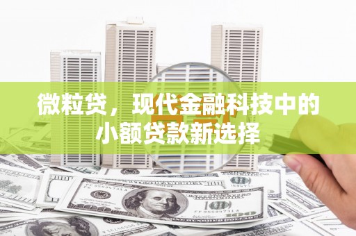 洪雅微粒贷，现代金融科技中的小额贷款新选择