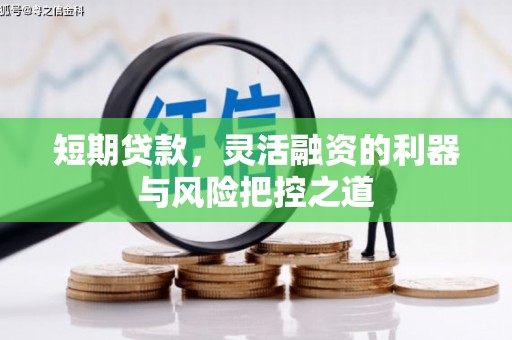 洪雅短期贷款，灵活融资的利器与风险把控之道