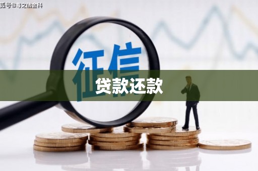 洪雅贷款还款