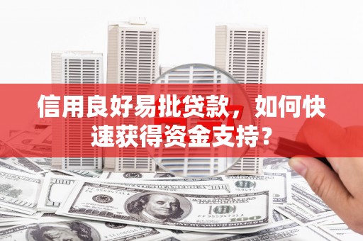 洪雅信用良好易批贷款，如何快速获得资金支持？