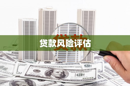 洪雅贷款风险评估
