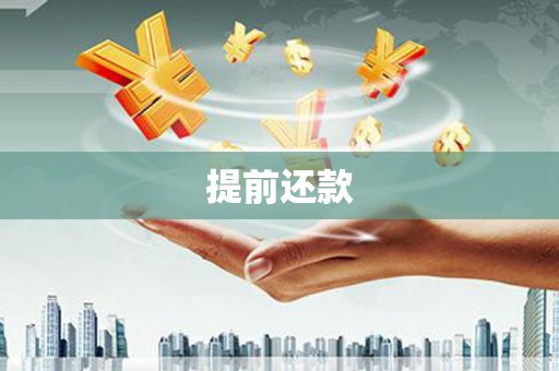 洪雅提前还款