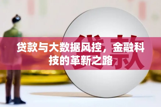 洪雅贷款与大数据风控，金融科技的革新之路