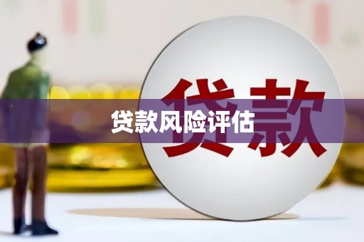 洪雅贷款风险评估