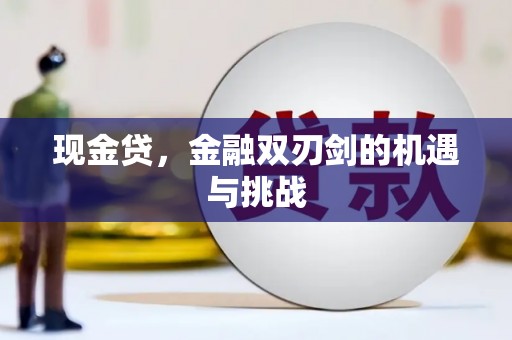 洪雅现金贷，金融双刃剑的机遇与挑战