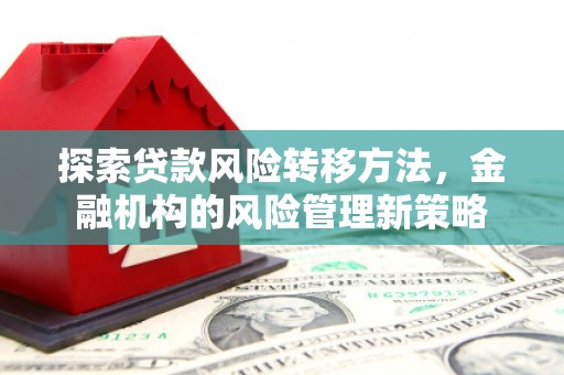 洪雅探索贷款风险转移方法，金融机构的风险管理新策略