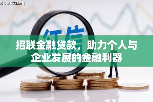 洪雅招联金融贷款，助力个人与企业发展的金融利器
