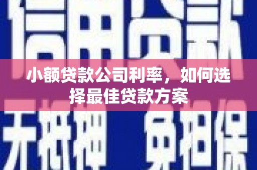 洪雅小额贷款公司利率，如何选择最佳贷款方案